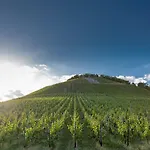 Weinhotel Ayler Kupp Hotel
