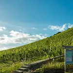 Weinhotel Ayler Kupp