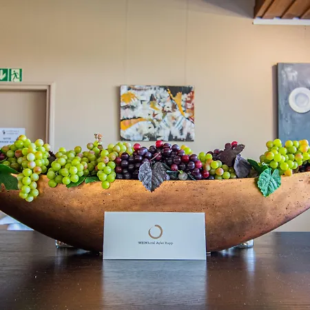 Hotel Weinhotel Ayler Kupp 3*