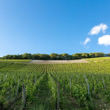 Weinhotel Ayler Kupp