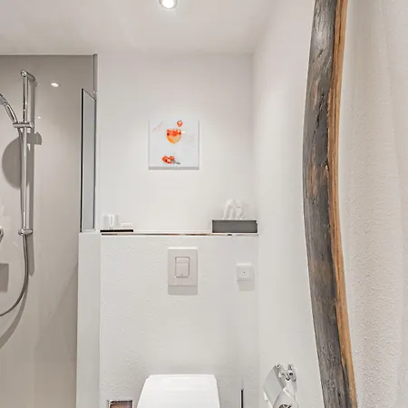 فندق Weinhotel Ayler Kupp 3*