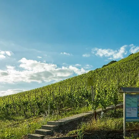 Weinhotel Ayler Kupp