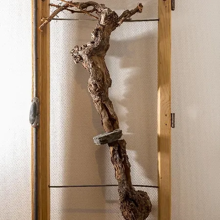 Weinhotel Ayler Kupp Hotel 3*