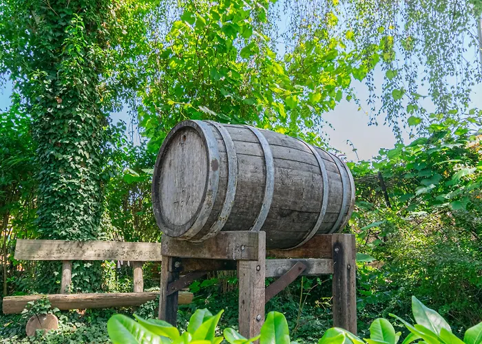 Weinhotel Ayler Kupp Ayl