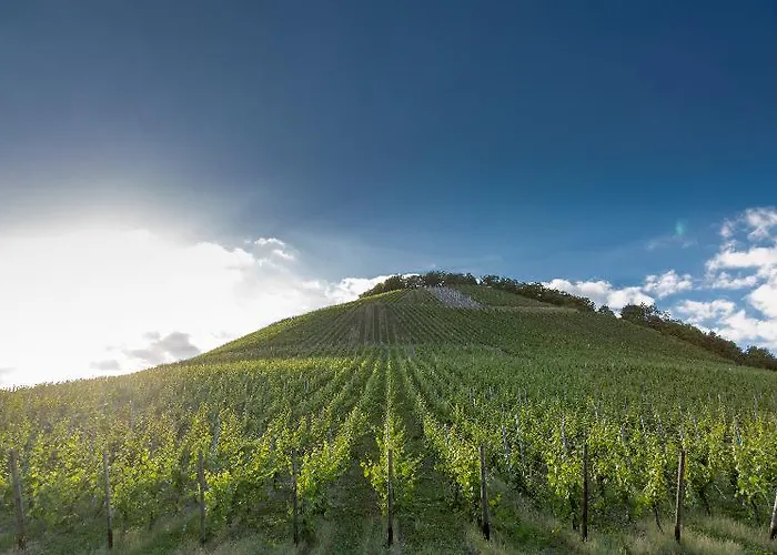 Weinhotel Ayler Kupp ホテル