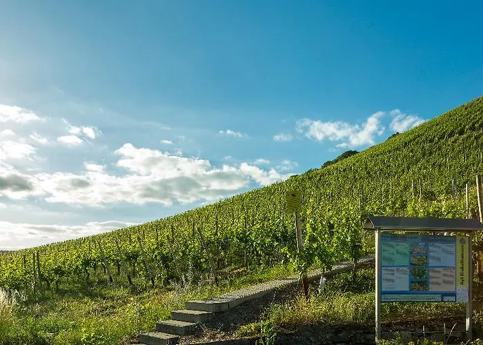 Weinhotel Ayler Kupp