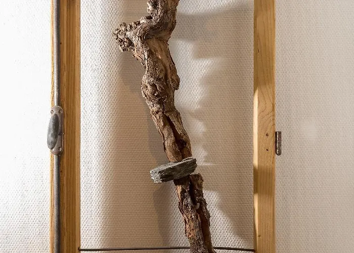 Weinhotel Ayler Kupp ホテル 3*